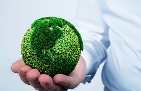 Actualité environnementale