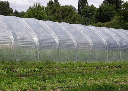 serre agricole