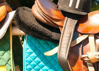 accessoires-pour-chevaux