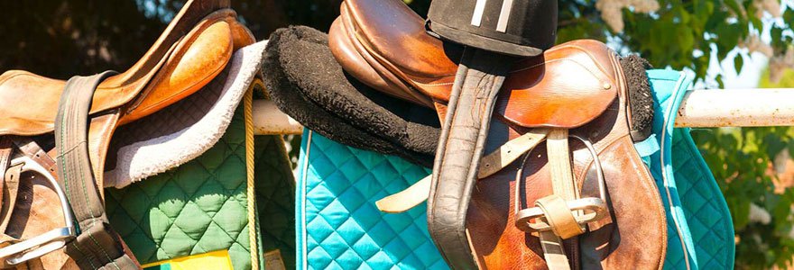 accessoires-pour-chevaux