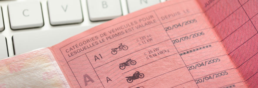 traduire un permis de conduire