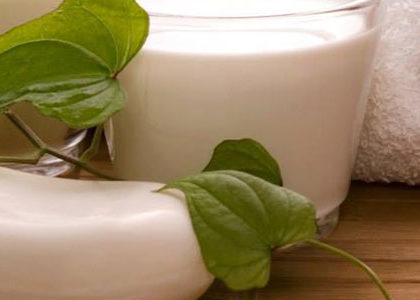 Shampoing au lait de chèvre